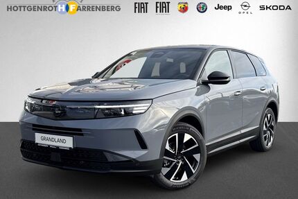 Opel Grandland (X) Gebrauchtwagen