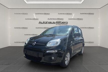 Fiat Panda Gebrauchtwagen