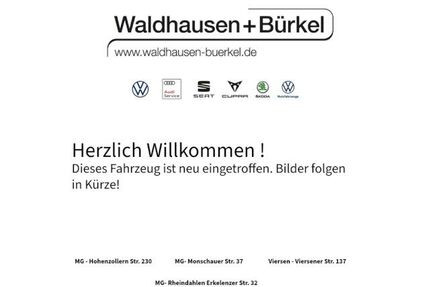 Cupra Leon Gebrauchtwagen