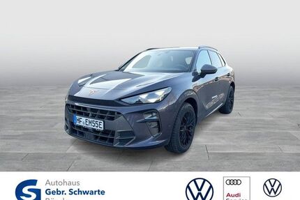 Cupra Terramar Gebrauchtwagen