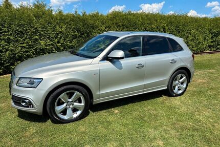 Audi Q5 Gebrauchtwagen
