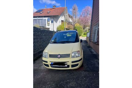 Fiat Panda Gebrauchtwagen