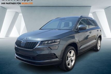 Skoda Karoq Gebrauchtwagen