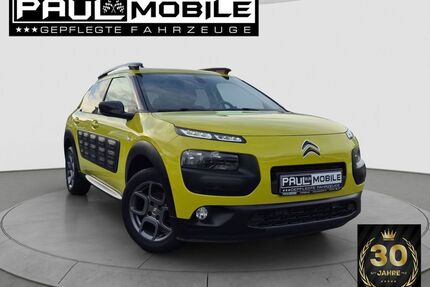Citroen C4 Cactus Gebrauchtwagen