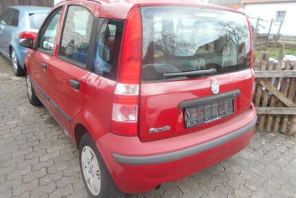 Fiat Panda Gebrauchtwagen