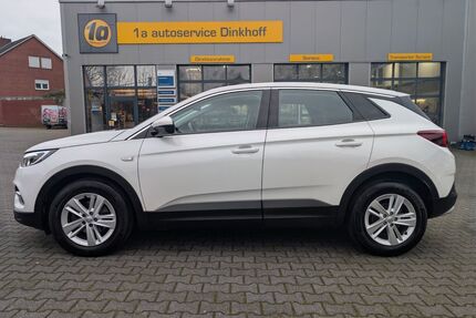 Opel Grandland (X) Gebrauchtwagen