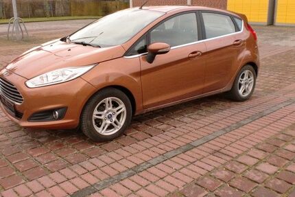 Ford Fiesta Gebrauchtwagen