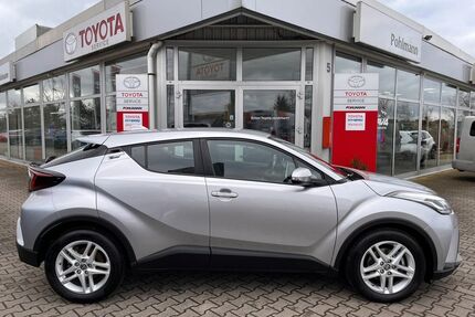 Toyota C-HR Gebrauchtwagen