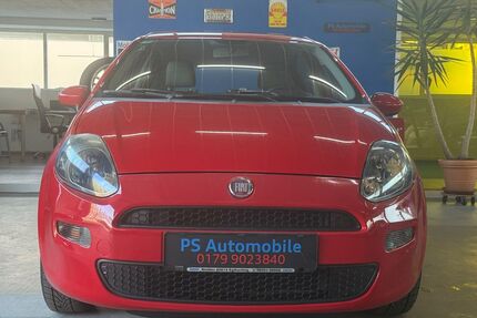 Fiat Punto Gebrauchtwagen