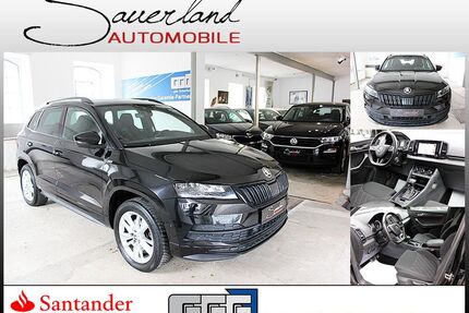 Skoda Karoq Gebrauchtwagen