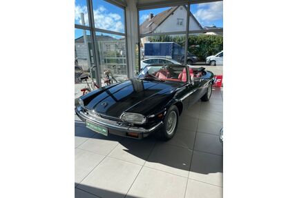 Jaguar XJS Gebrauchtwagen