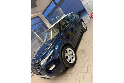 Land Rover Range Rover Evoque Gebrauchtwagen