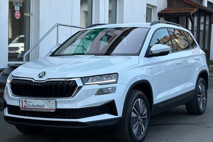 Skoda Karoq Gebrauchtwagen
