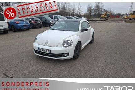 VW Beetle Gebrauchtwagen