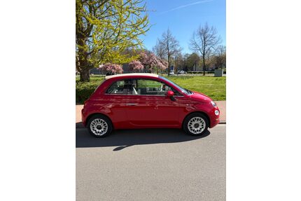 Fiat 500C Gebrauchtwagen