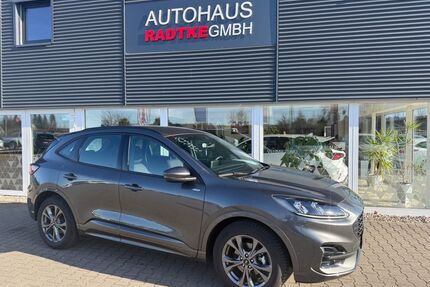 Ford Kuga Gebrauchtwagen