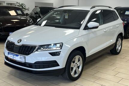 Skoda Karoq Gebrauchtwagen
