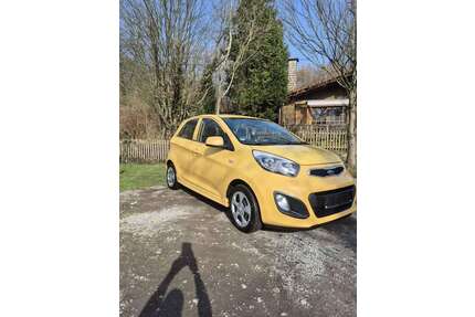 Kia Picanto Gebrauchtwagen