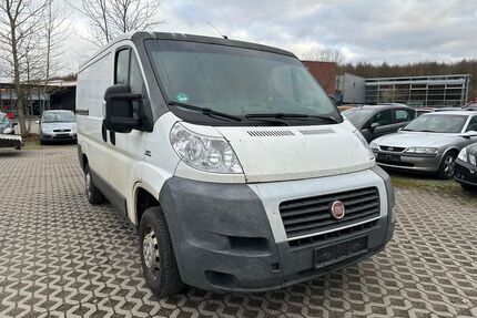 Fiat Ducato Gebrauchtwagen