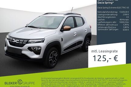 Dacia Spring Gebrauchtwagen