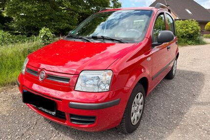 Fiat Panda Gebrauchtwagen