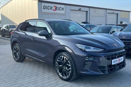 Cupra Terramar Gebrauchtwagen