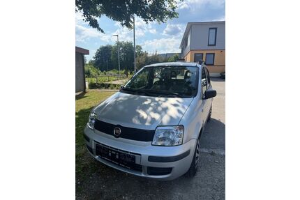 Fiat Panda Gebrauchtwagen