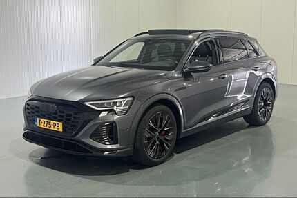 Audi Q8 e-tron Gebrauchtwagen