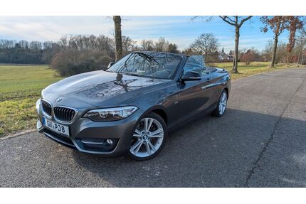 BMW 230 Gebrauchtwagen