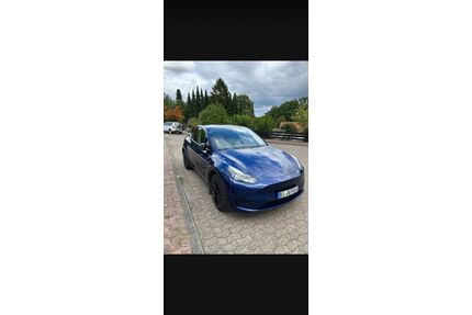 Tesla Model Y Gebrauchtwagen