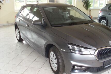 Skoda Fabia Gebrauchtwagen
