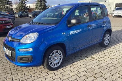 Fiat Andere Gebrauchtwagen