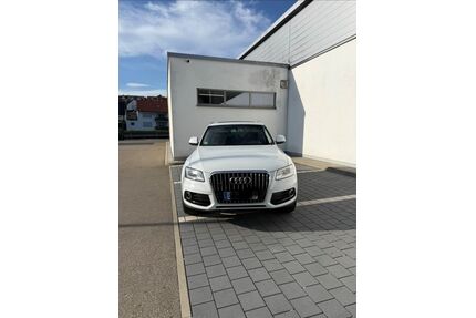Audi Q5 Gebrauchtwagen