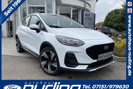 Ford Fiesta Gebrauchtwagen