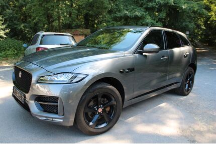 Jaguar F-Pace Gebrauchtwagen