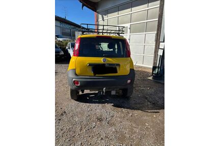 Fiat Panda Gebrauchtwagen