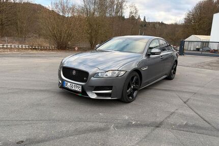 Jaguar XF Gebrauchtwagen
