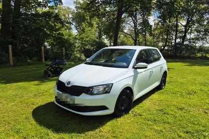 Skoda Fabia Gebrauchtwagen