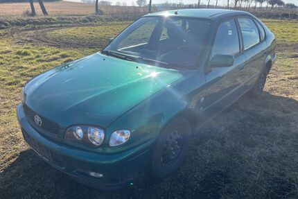 Toyota Corolla Gebrauchtwagen