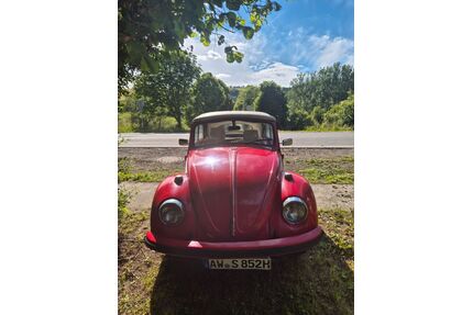 VW Käfer Gebrauchtwagen