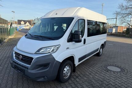 Fiat Ducato Gebrauchtwagen
