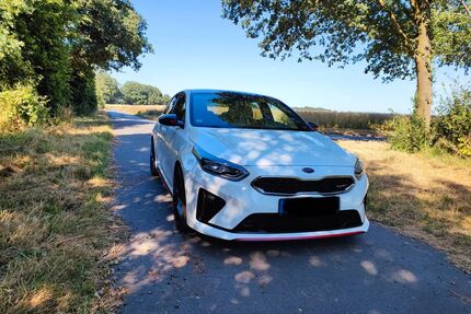 Kia ceed / Ceed Gebrauchtwagen