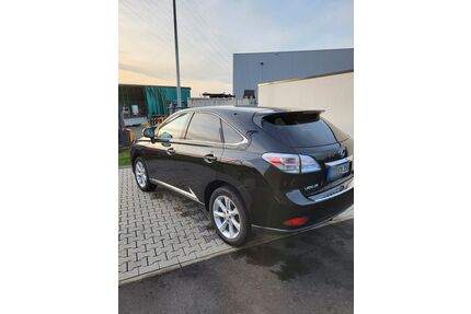 Lexus RX 350 Gebrauchtwagen