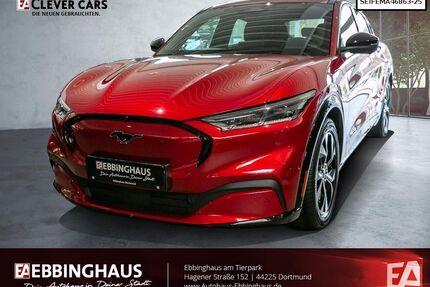 Ford Mustang Mach-E Gebrauchtwagen