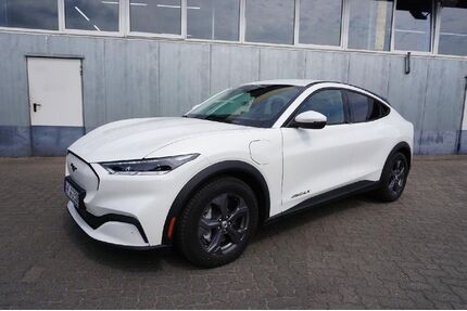 Ford Mustang Mach-E Gebrauchtwagen