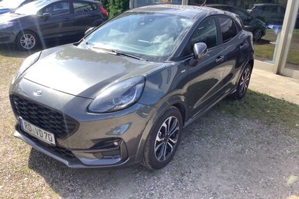 Ford Puma Gebrauchtwagen