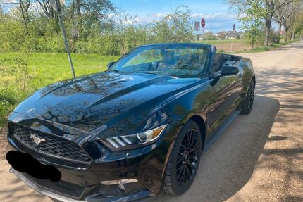 Ford Mustang Gebrauchtwagen