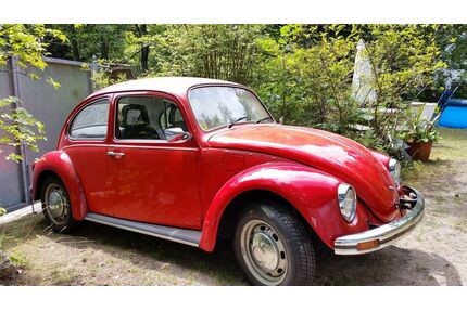 VW Käfer Gebrauchtwagen