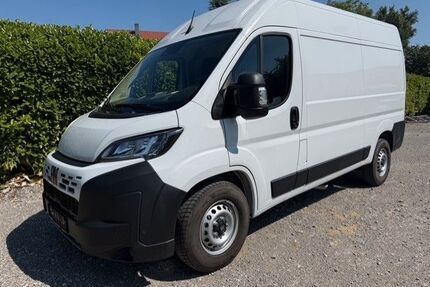 Fiat Ducato Gebrauchtwagen