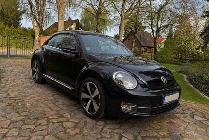 VW Beetle Gebrauchtwagen